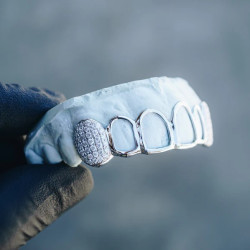6 diş Swarovski Frame Grillz Z314