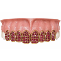 8 Teeth Iced Out Ruby Swarovski  Grillz Z317