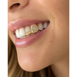 2 teeth Frame  Grillz Z312