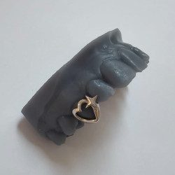 Kalp ve Yıldız Grillz Z319