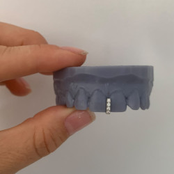 Grillz with Swarovski Z321