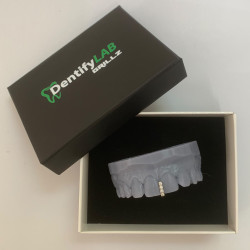 Swarovski Taşlı Grillz Z321