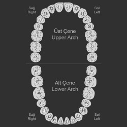 6 diş Köprü Grillz Z327
