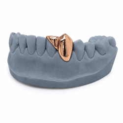 2 diş İkili Grillz Z342
