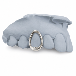 Swarowski Taşlı Minimal Grillz Z350