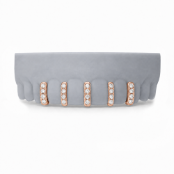 5'li Swarovski Taşlı Bar Grillz Z385