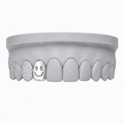 Smiling Face and Swarovski Grillz Z399