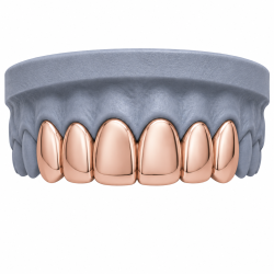 6 Diş Grillz Z401