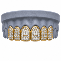 6 Diş Swarovski Taşlı Grillz Z402