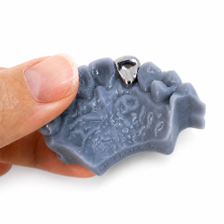 Altın Çiçek Grillz Z309